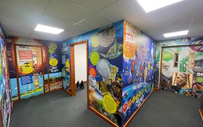 School Walls as Learning Tools: Engaging Displays for Every Subject