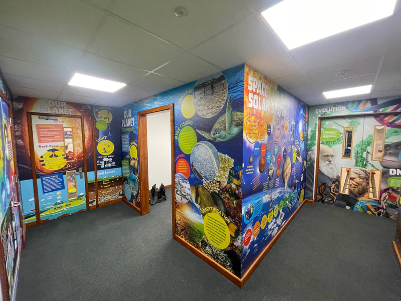 School Walls as Learning Tools: Engaging Displays for Every Subject